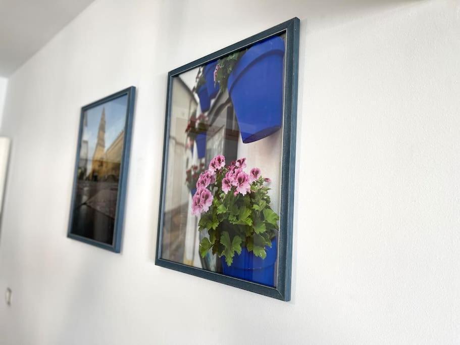 Apartamento Centrico Urbano Con Terraza Cordoba Dış mekan fotoğraf
